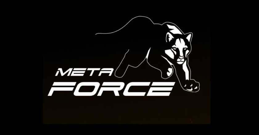 meta force business plan