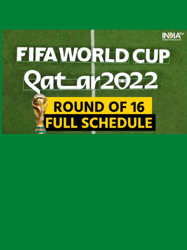 FIFA World Cup 2022: