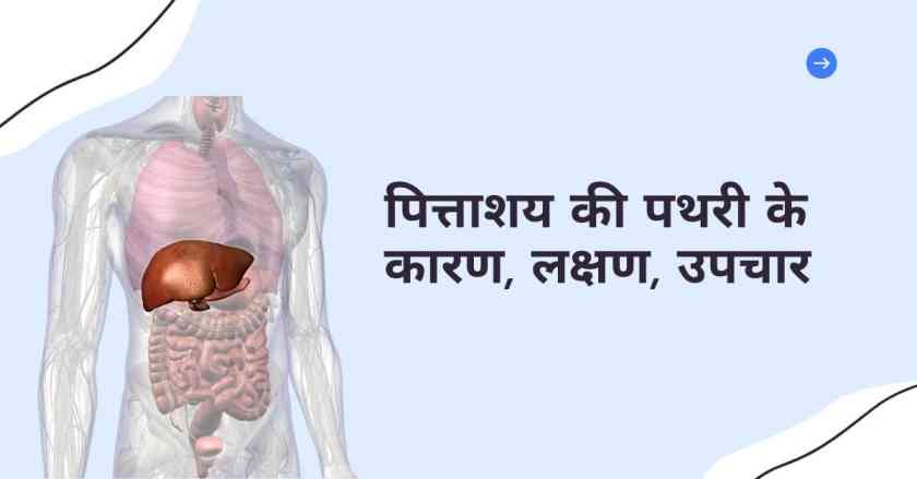 gallbladder in hindi