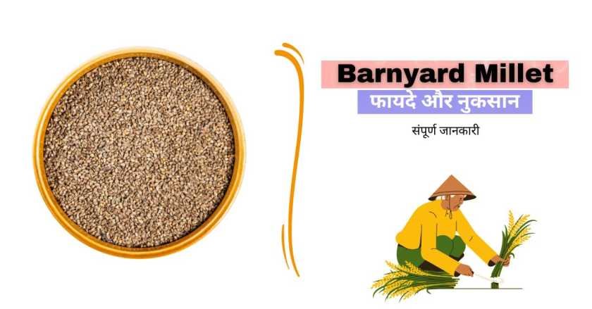 Barnyard millet in Hindi