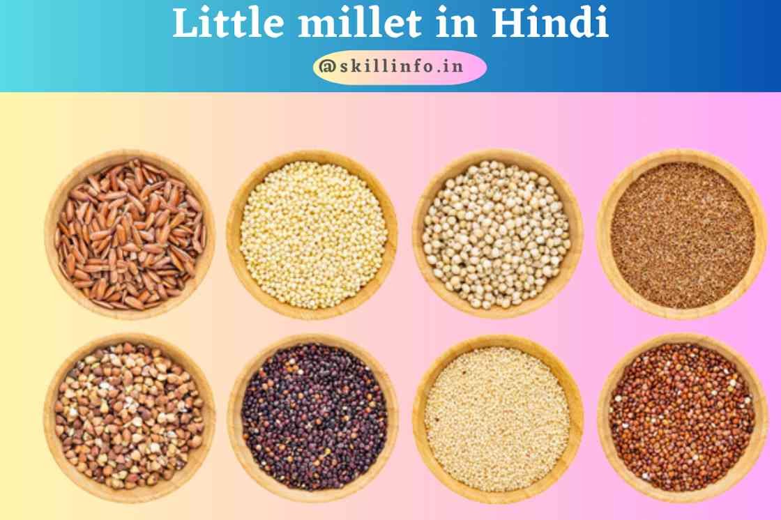 Little millet in Hindi